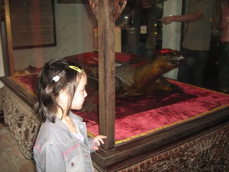 070-IMG_1427.jpg.medium.jpeg