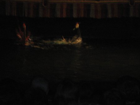 084-IMG_1445.jpg.medium.jpeg
