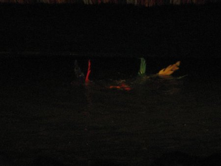 085-IMG_1446.jpg.medium.jpeg