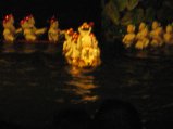 087-IMG_1453.jpg.small.jpeg