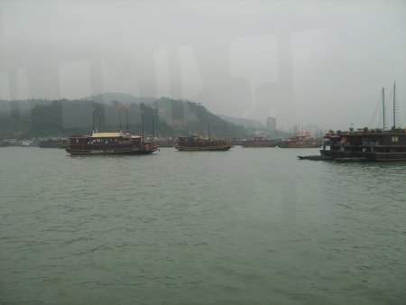 096-IMG_1464.jpg.medium.jpeg