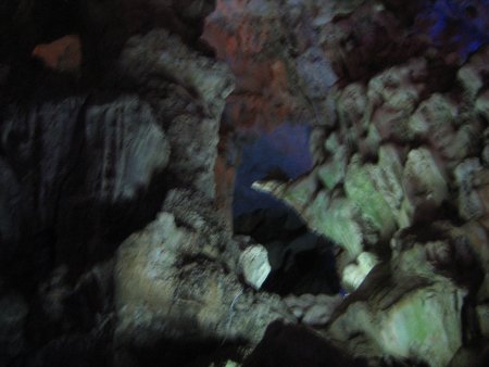 098-IMG_1467.jpg.medium.jpeg