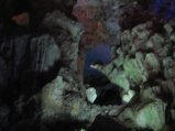 098-IMG_1467.jpg.small.jpeg