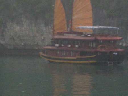 116-IMG_1487.jpg.medium.jpeg