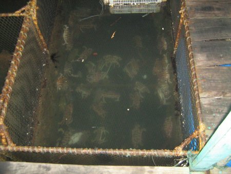 117-IMG_1489.jpg.medium.jpeg