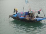 128-IMG_1504.jpg.small.jpeg