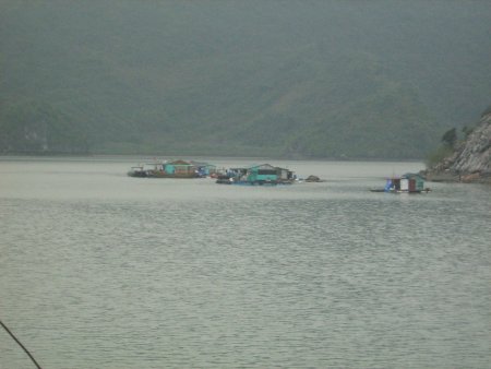 136-IMG_1513.jpg.medium.jpeg