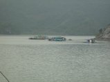 136-IMG_1513.jpg.small.jpeg