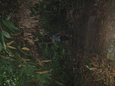 141-IMG_1519.jpg.medium.jpeg
