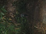 141-IMG_1519.jpg.small.jpeg