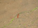 142-IMG_1520.jpg.small.jpeg