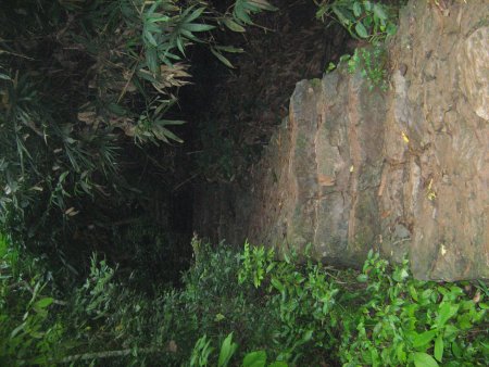 144-IMG_1522.jpg.medium.jpeg