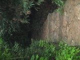 144-IMG_1522.jpg.small.jpeg