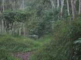 145-IMG_1523.jpg.small.jpeg