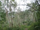 146-IMG_1524.jpg.small.jpeg