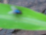148-IMG_1526.jpg.small.jpeg
