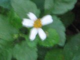 150-IMG_1528.jpg.small.jpeg
