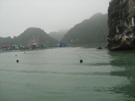 154-IMG_1532.jpg.medium.jpeg