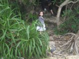 159-IMG_1538.jpg.small.jpeg