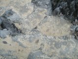 160-IMG_1539.jpg.small.jpeg