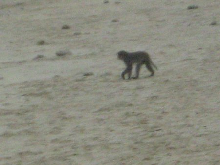 162-IMG_1541.jpg.medium.jpeg