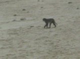 162-IMG_1541.jpg.small.jpeg