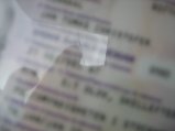 173-IMG_1562.jpg.small.jpeg