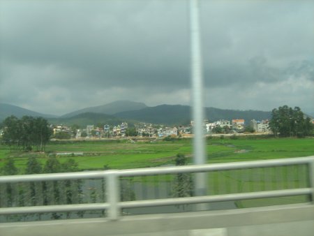 175-IMG_1565.jpg.medium.jpeg