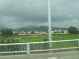 175-IMG_1565.jpg.small.jpeg