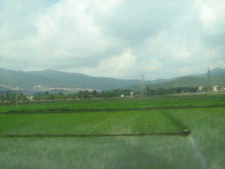 176-IMG_1566.jpg.medium.jpeg