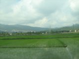 176-IMG_1566.jpg.small.jpeg