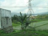 177-IMG_1567.jpg.small.jpeg