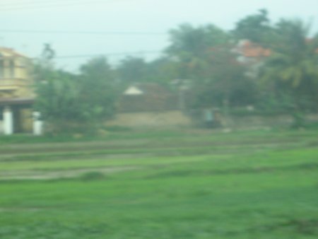 178-IMG_1568.jpg.medium.jpeg
