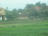 178-IMG_1568.jpg.small.jpeg