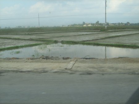 179-IMG_1569.jpg.medium.jpeg