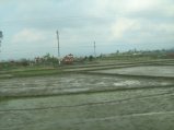 180-IMG_1570.jpg.small.jpeg
