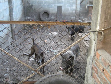 184-IMG_1575.jpg.medium.jpeg