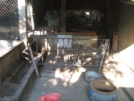 185-IMG_1576.jpg.medium.jpeg