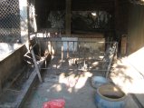185-IMG_1576.jpg.small.jpeg