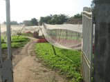 188-IMG_1579.jpg.small.jpeg