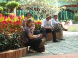 192-IMG_1584.jpg.small.jpeg