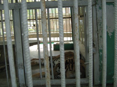 201-IMG_1594.jpg.medium.jpeg