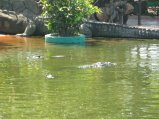 206-IMG_1601.jpg.small.jpeg