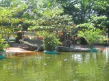 207-IMG_1602.jpg.small.jpeg