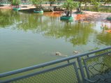 209-IMG_1604.jpg.small.jpeg