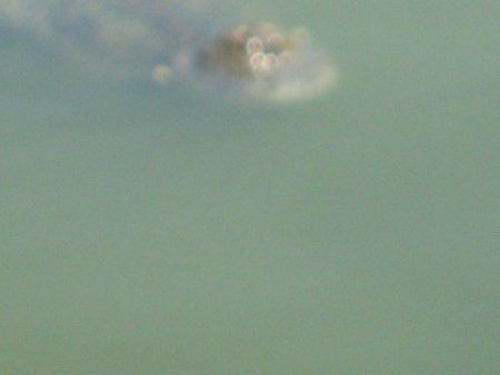 210-IMG_1605.jpg.medium.jpeg