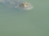 210-IMG_1605.jpg.small.jpeg