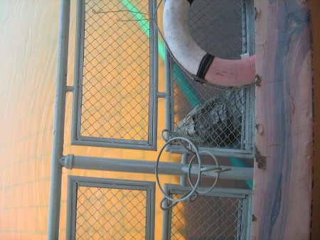 211-IMG_1606.jpg.medium.jpeg