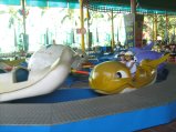 215-IMG_1610.jpg.small.jpeg