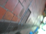 217-IMG_1612.jpg.small.jpeg